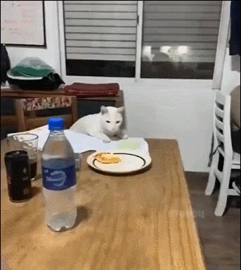 欢乐网图：手机带了但快没电了，又要用也没法充电，那才叫难受呢