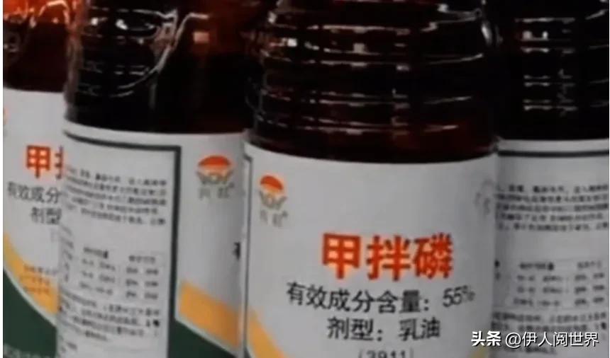 98年静海一中七仙女案幸存者现状,静海一中七仙女案件始末