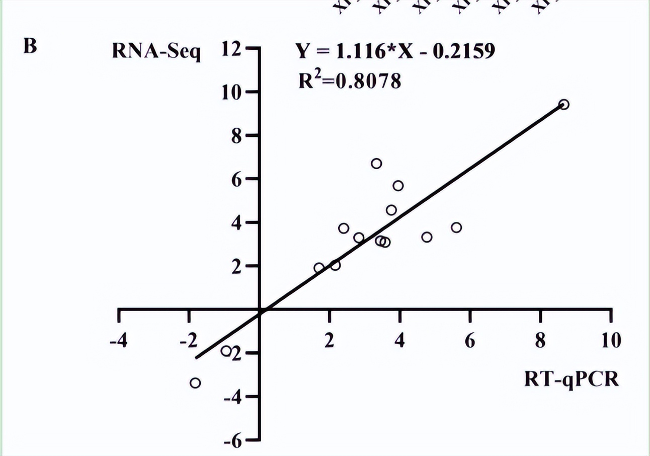 毛滴虫性妇科炎症甲硝唑,治毛滴虫用甲硝唑好还是替硝唑好