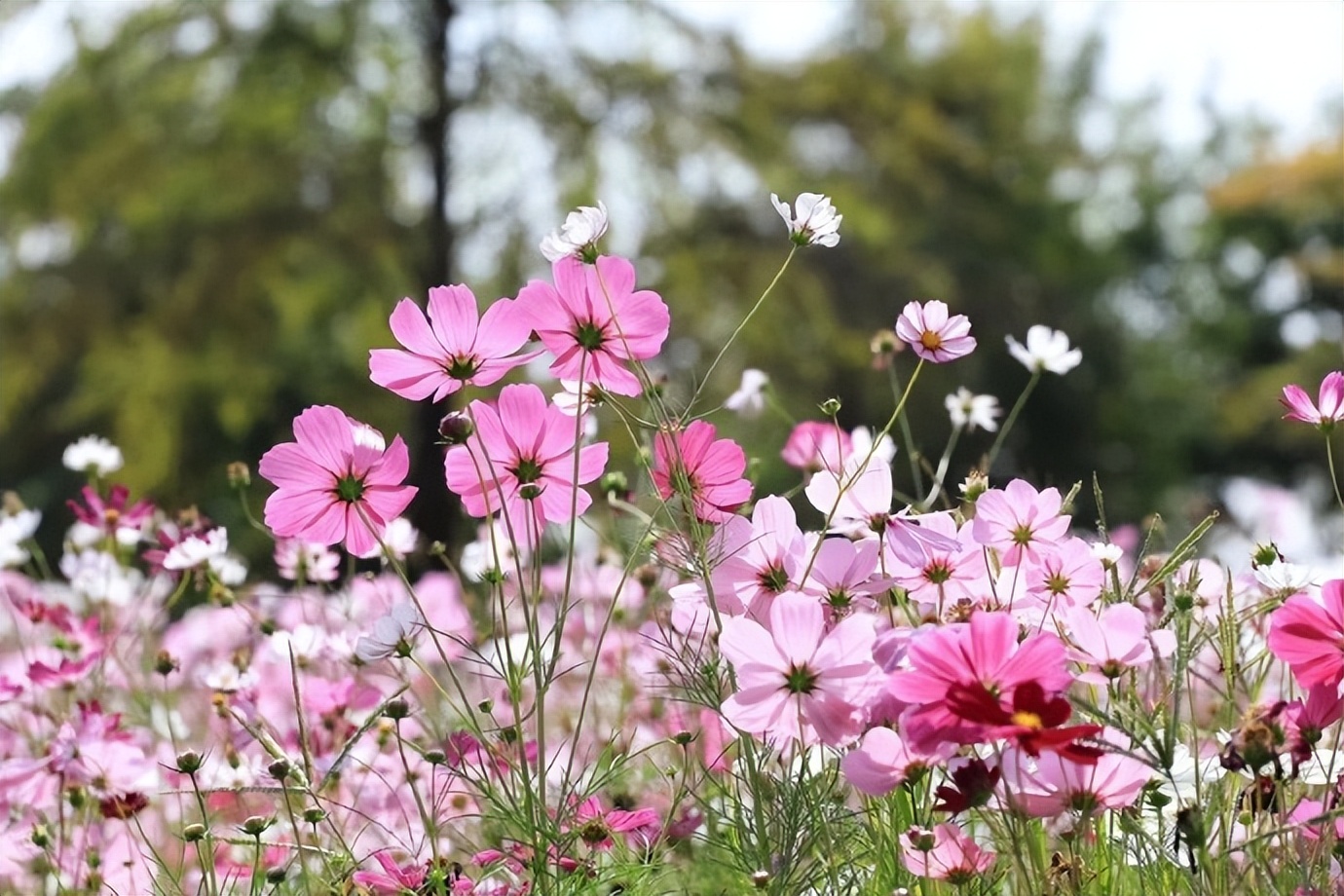 遇到心眼坏的人怎么办,心眼坏的人关心你的隐私和秘密