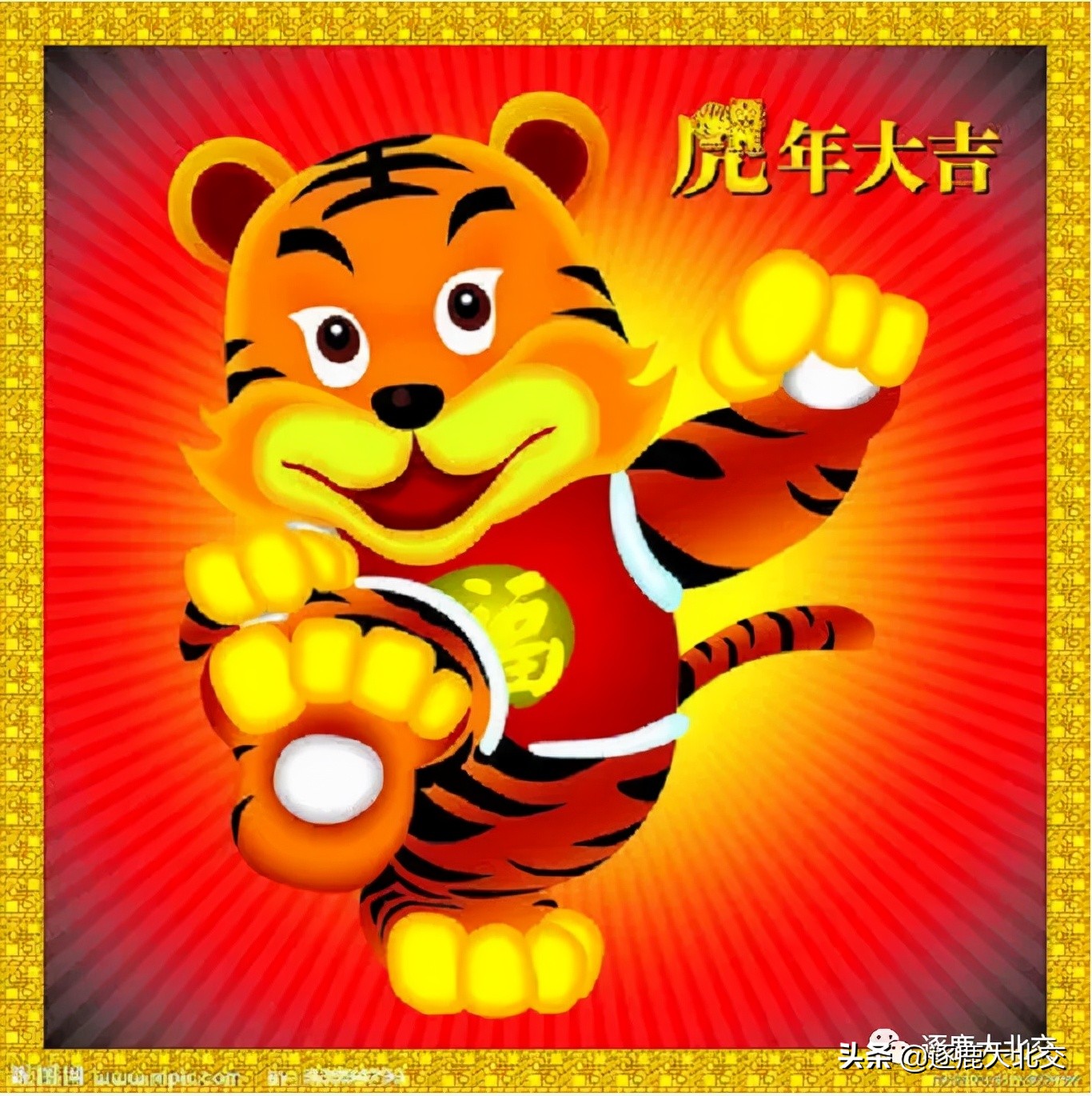 博采网络投资价值,博采网络股东最新消息