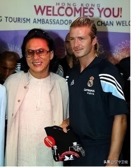 国际十大功夫巨星成龙,功夫巨星成龙有多厉害