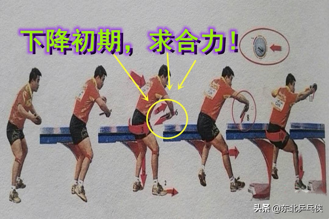 乒乓球拧拉的步法,乒乓球张继科霸王拧学习教程