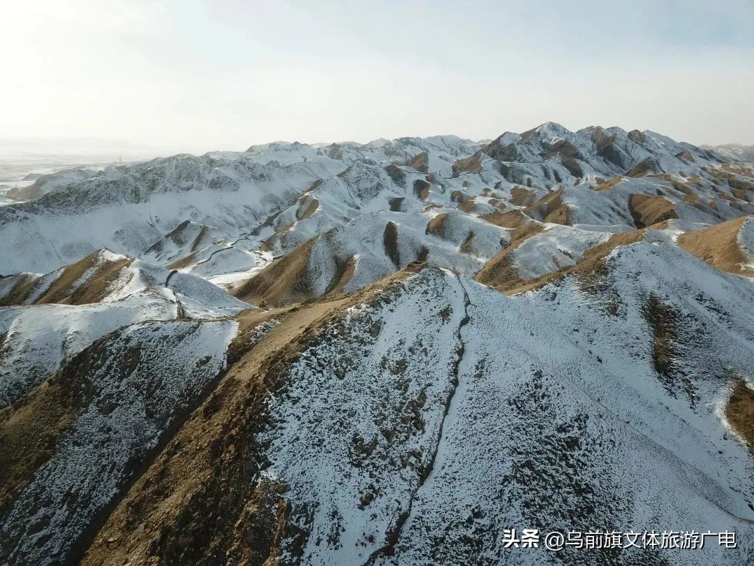 关于前旗有什么故事,前旗故事完整版