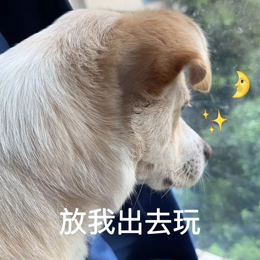 收藏打卡！坪山区原来有这么多地方可以逛，免费又好玩