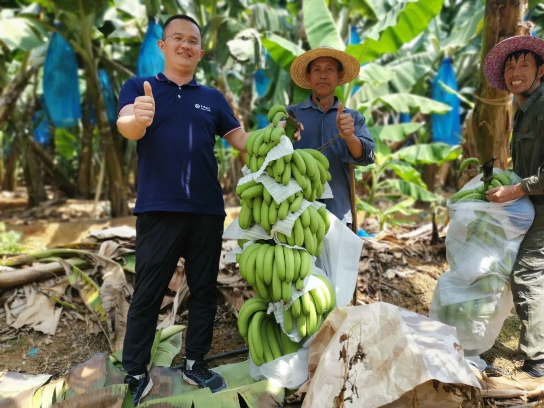 第六届中国农民丰收节,中国农民丰收节