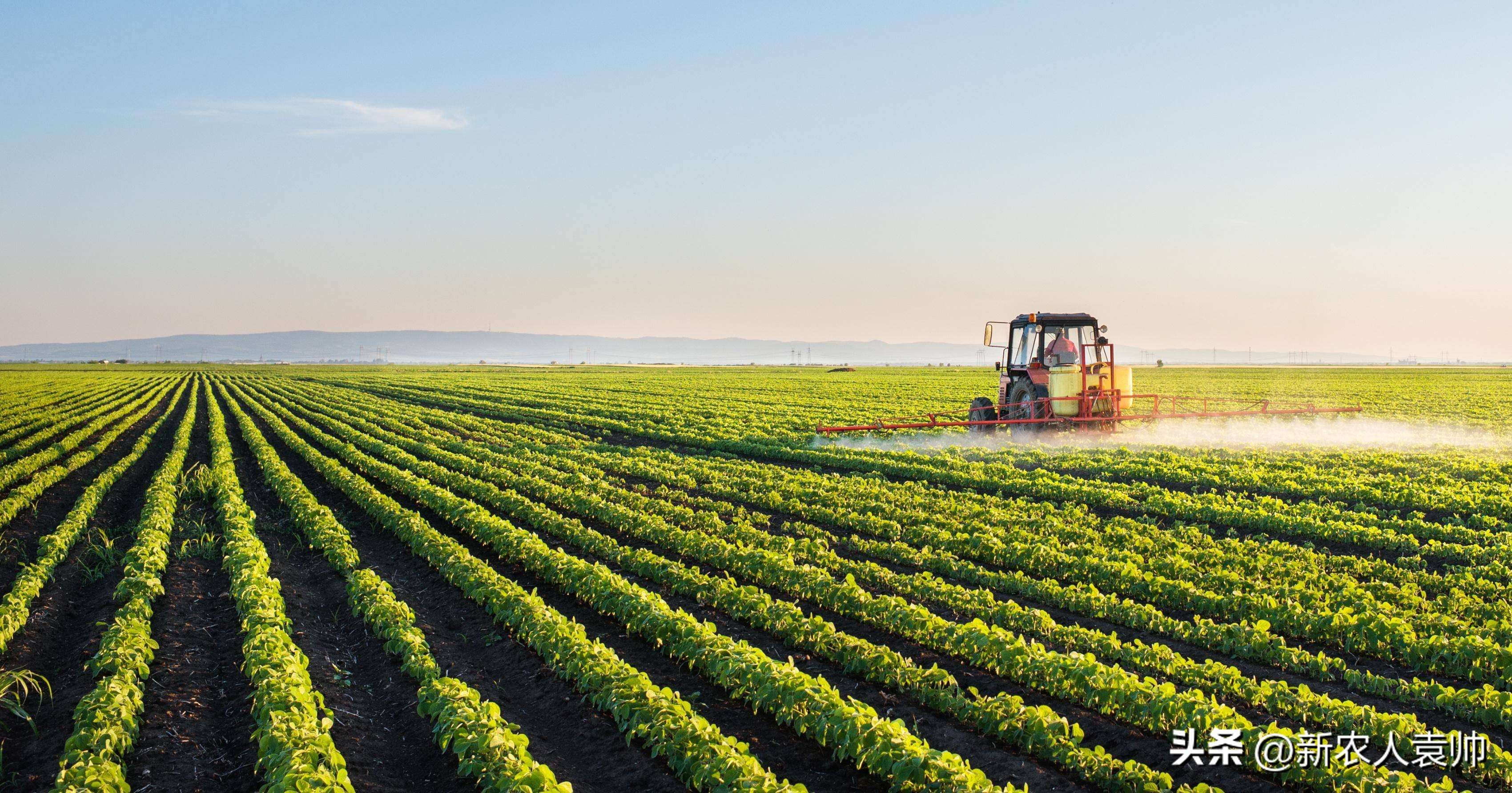 藏格矿业与天齐锂业谁更值得投资,藏格矿业最新走势分析视频