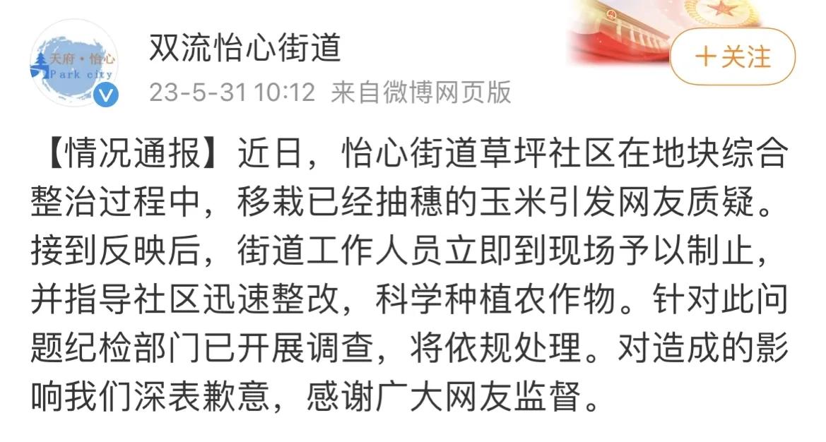 一广场移栽玉米秆引争议,广场移栽玉米苗事件通报