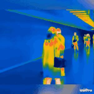 被石头划伤头有点晕,被石头磕到头流血