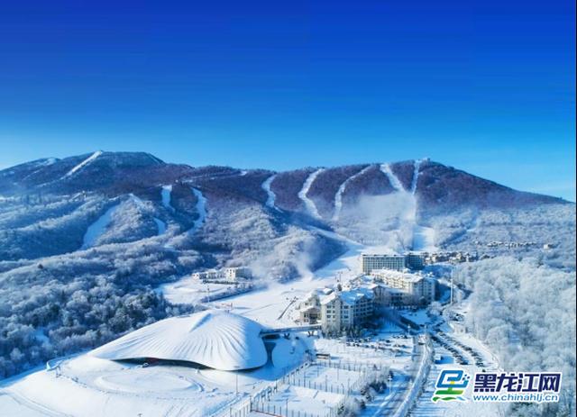 龙江附近打卡,哈尔滨推荐打卡地