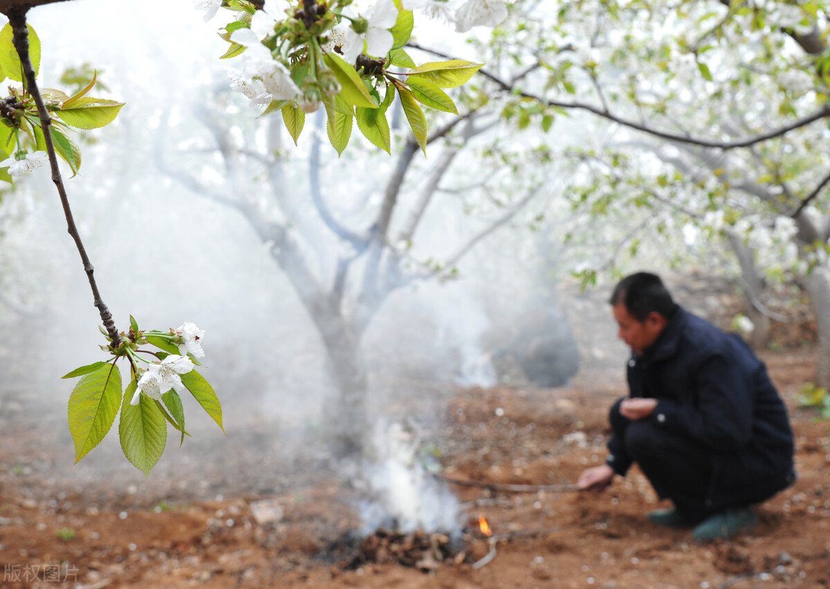 农村老话说冬天戴棉帽,农村俗语一年打二春