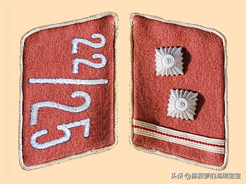 纳粹冲锋队用的什么枪,纳粹德军军衔图解