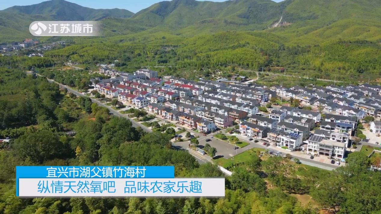 宜兴市湖父镇竹海村万家组黄玉兰,江苏宜兴新闻联播视频直播