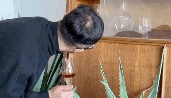 世界上最难喝的酒,世界十大最难喝的酒