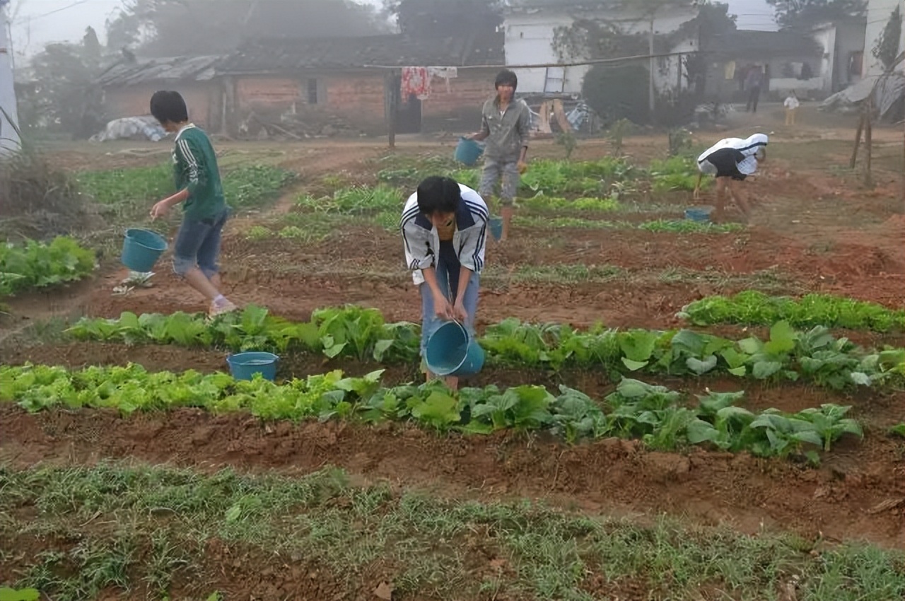 卡塔尔世界杯现场燃爆,卡塔尔世界杯带给你最大的感受