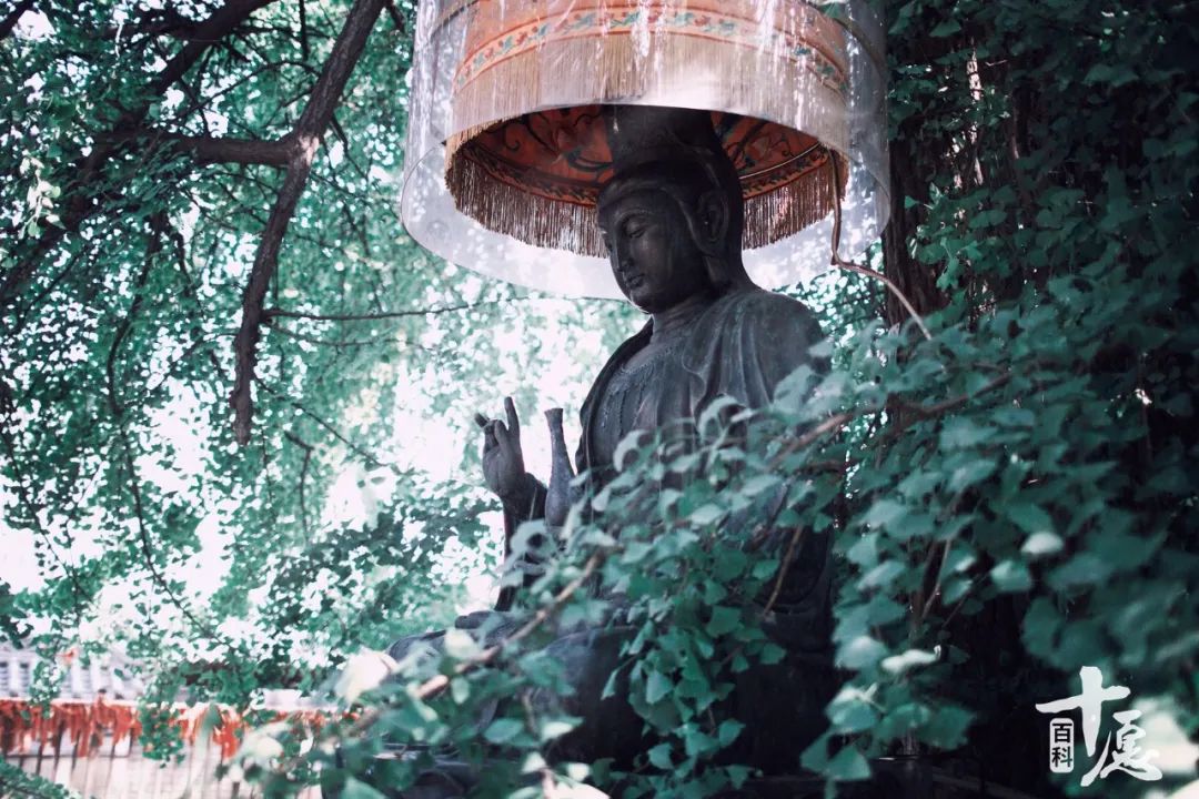 你真正了解菩萨吗,恭迎观音菩萨成道日问候语