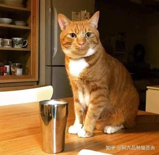 一篇文章搞懂,一篇文章让你彻底搞懂宏观