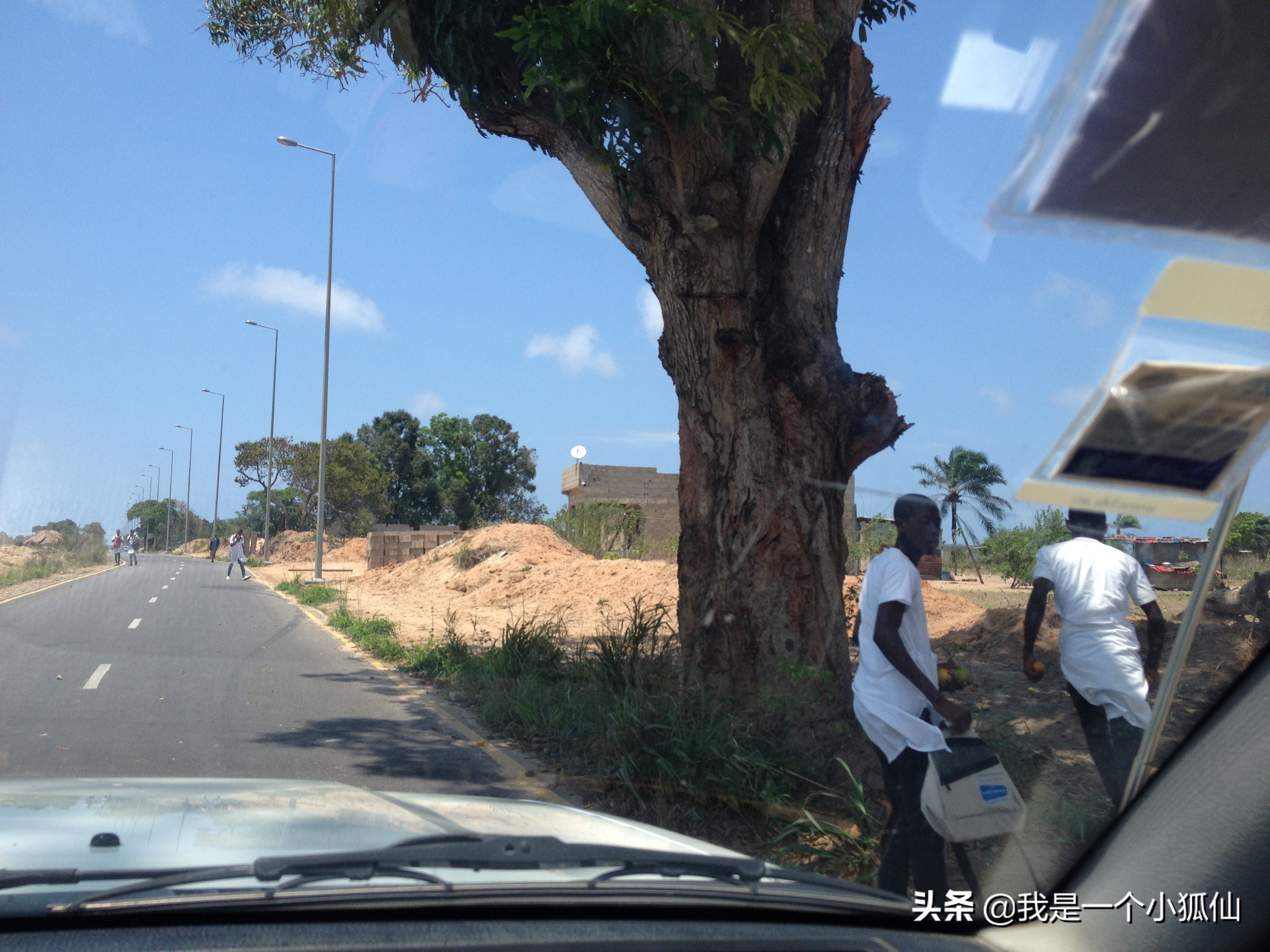 瀹夊摜鎷夊崠娣,瀹夊摜鎷夌粍缁囧崠娣