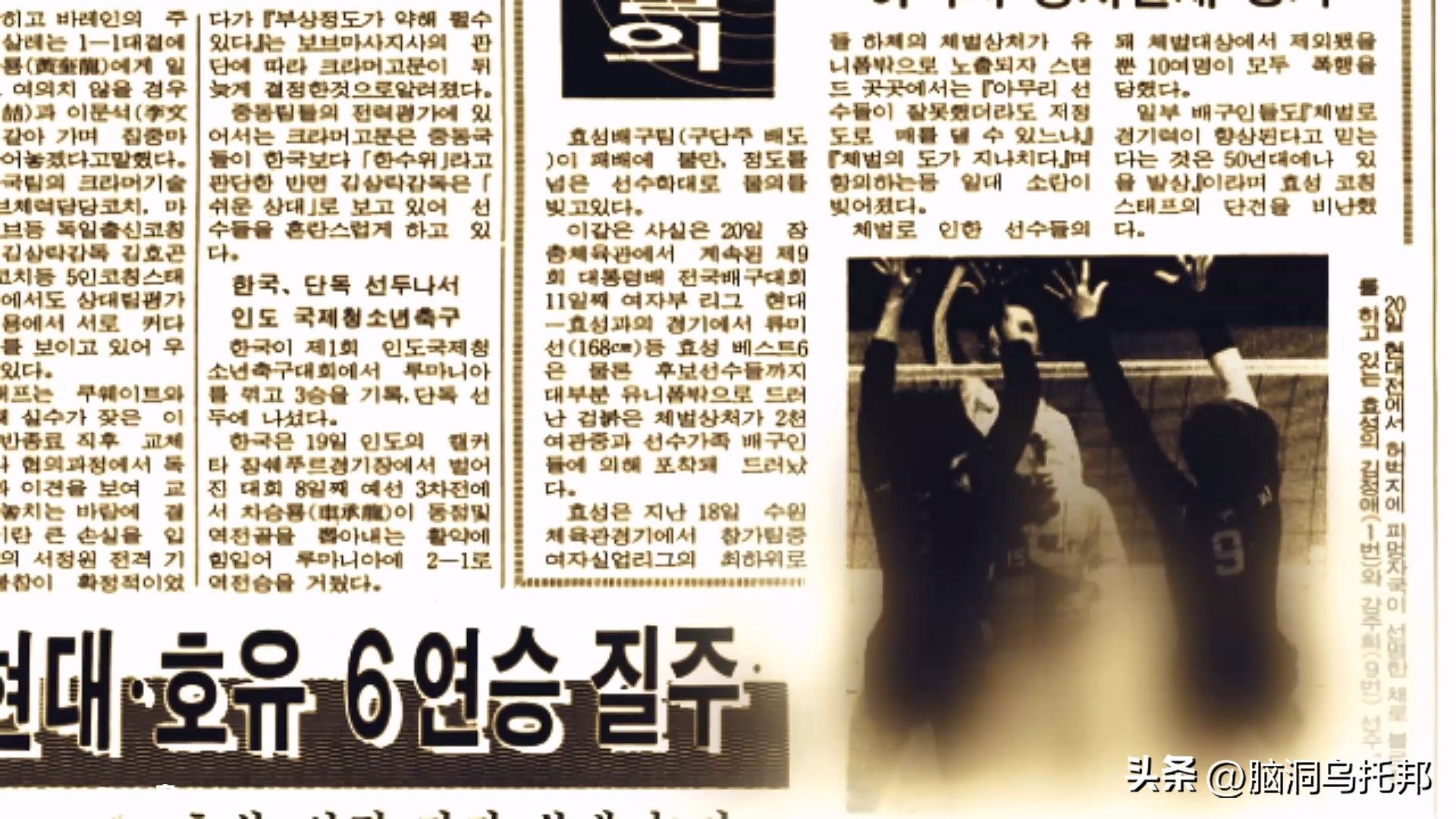 排球李多英身材,韩国排球李多英