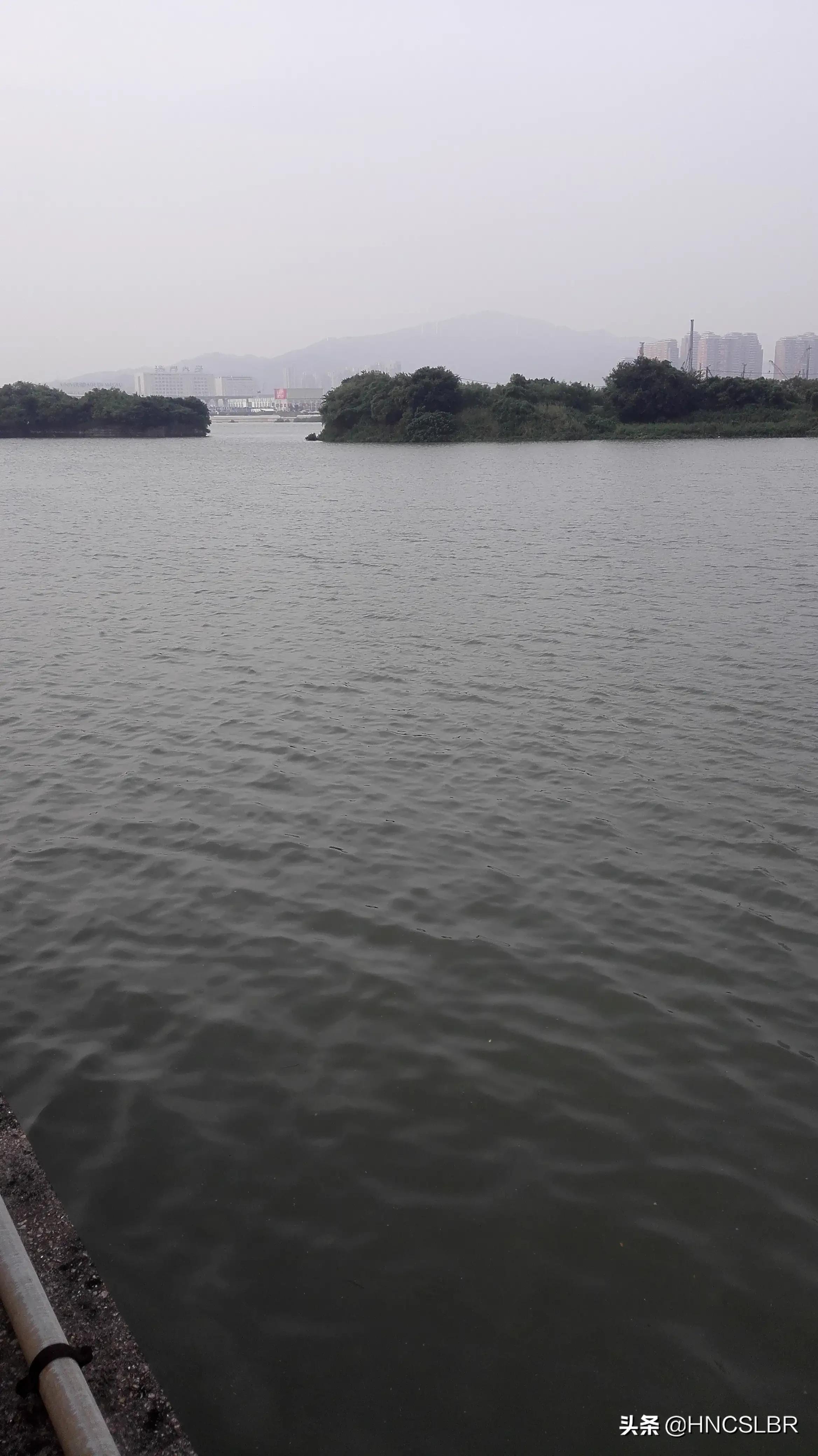 澳门皇庭海景酒店附近就餐地点,澳门皇庭海景酒店上班女孩子衣服