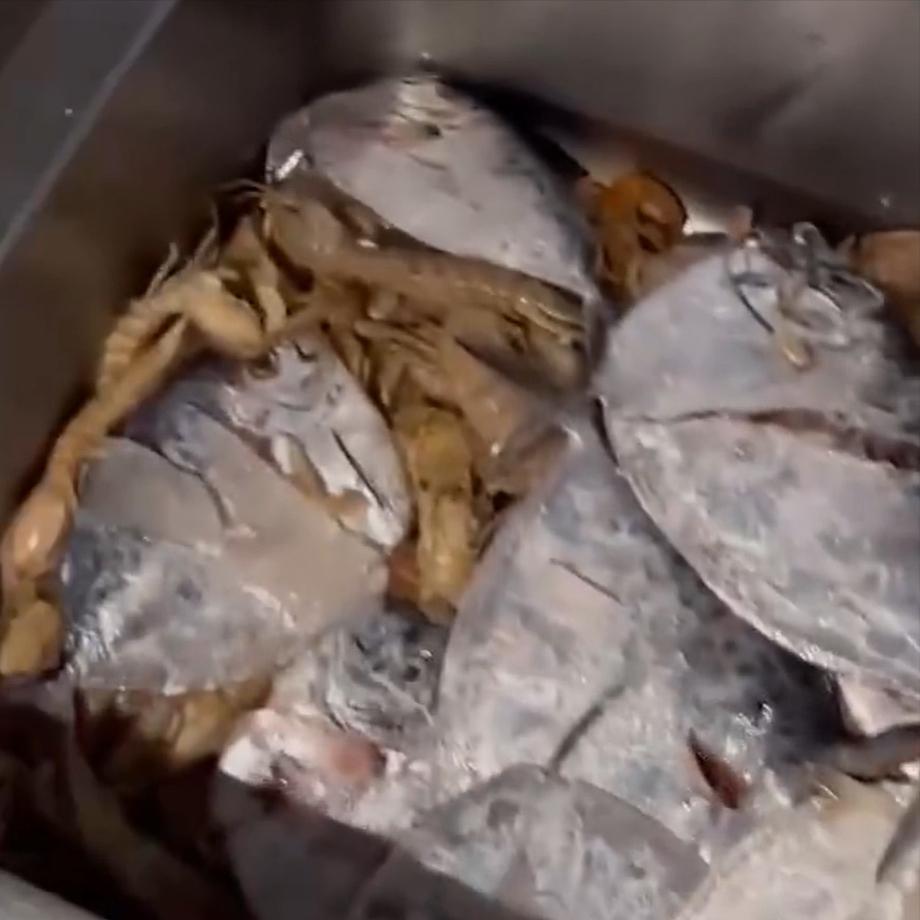 400元买4箱海鲜解冻后竟全是空壳,买海鲜解冻全是空壳