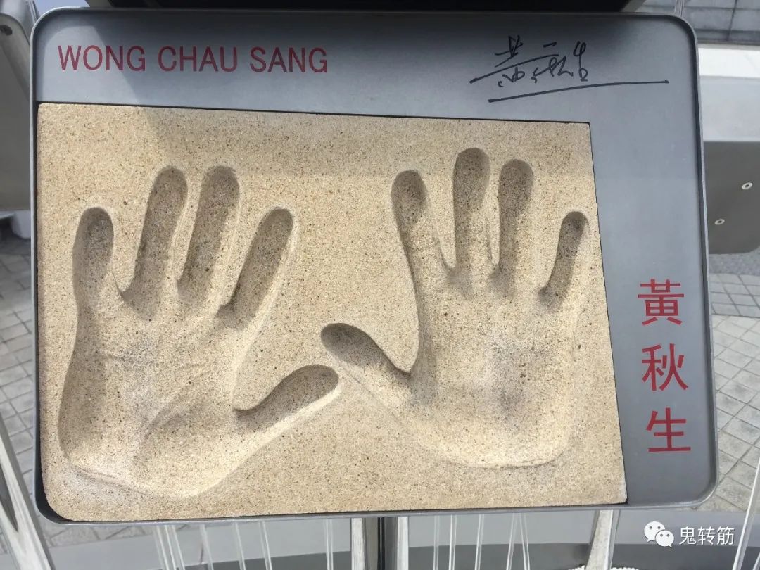 香港游玩美食攻略,香港澳门游玩