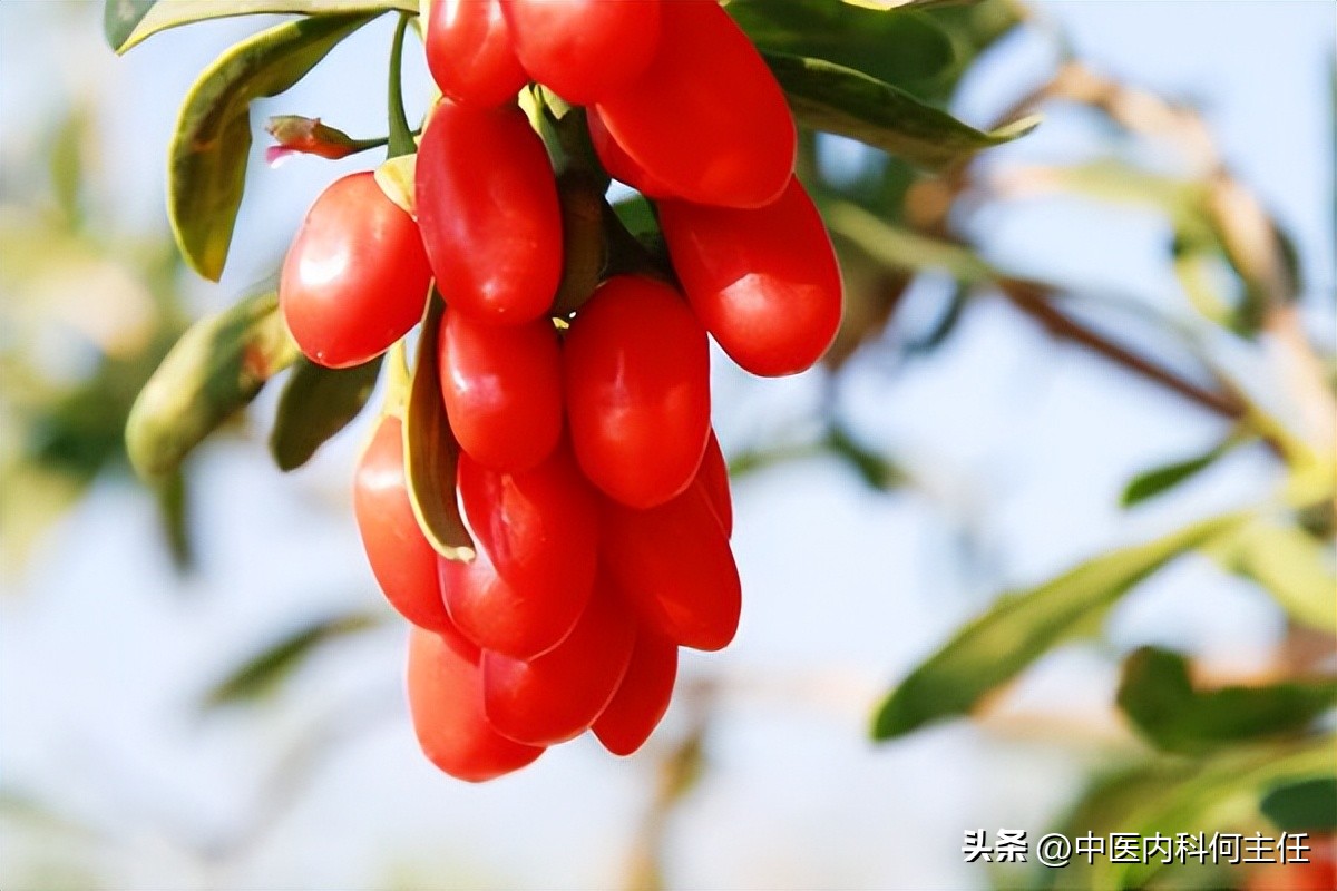 吃不胖的人增肥方法,食物有效的增肥方法
