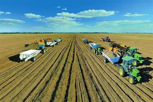 43岁男人负债2000万,内蒙古男子欠债5000万