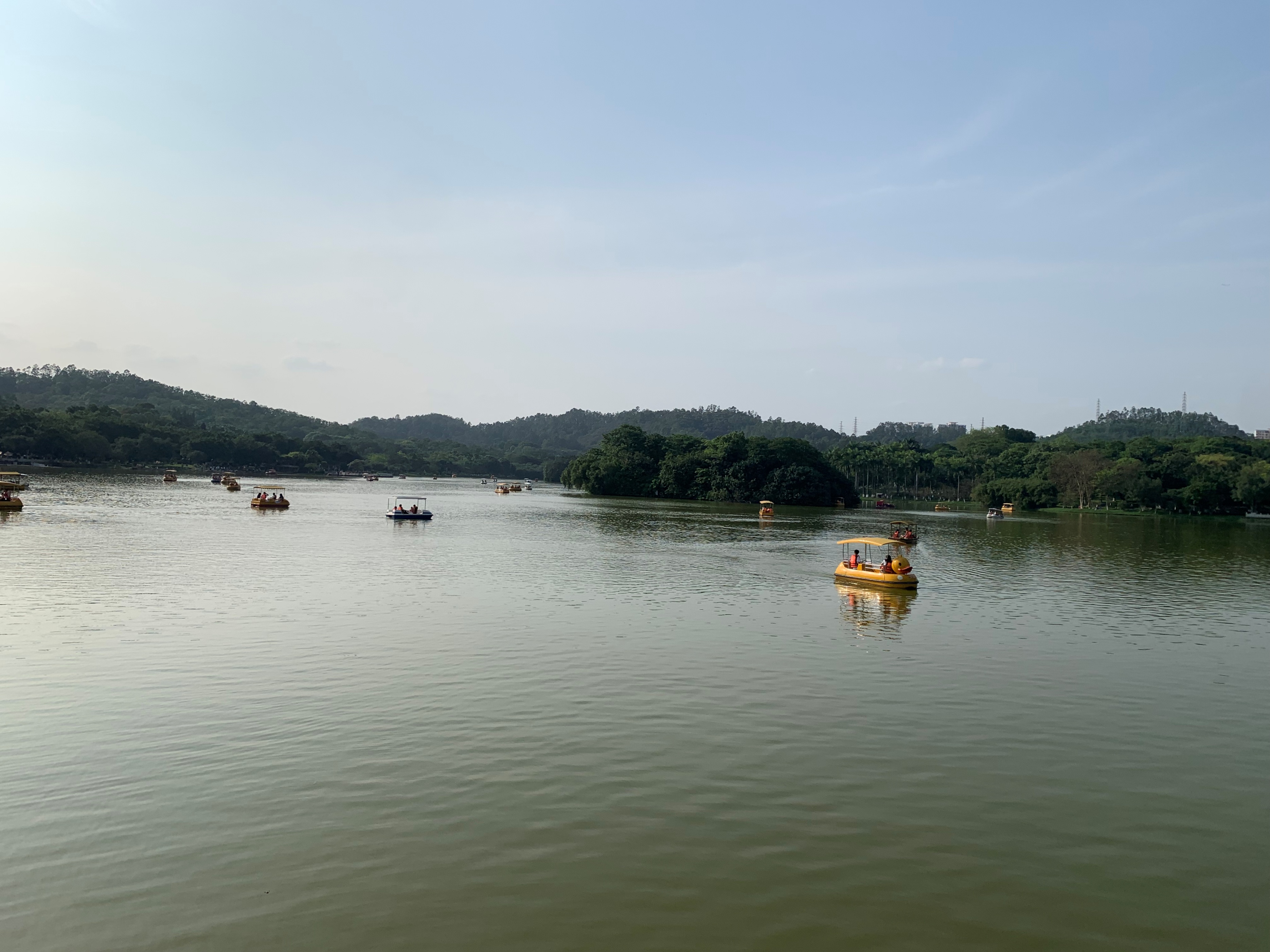 大夫山一日游自由行,大夫山一日游周记