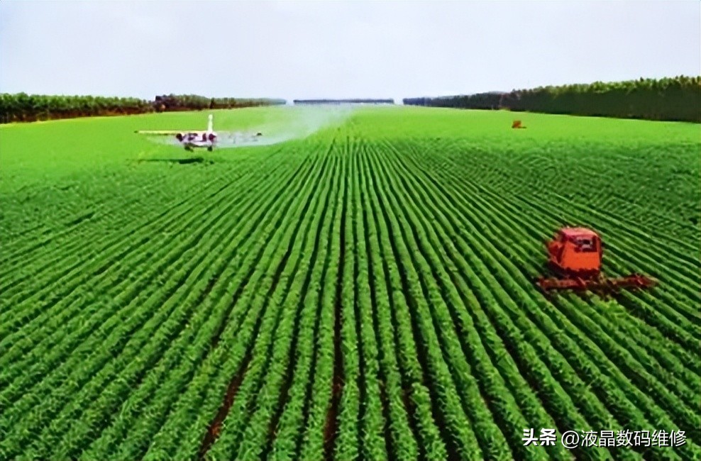 乡村振兴农村人怎样才能致富,如何带领村民致富实现乡村振兴