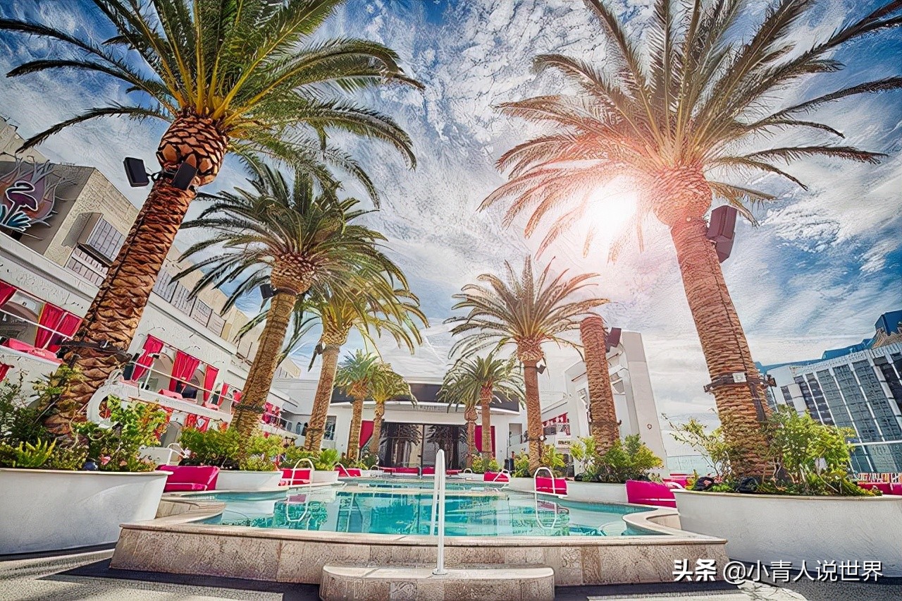 拉斯维加斯为什么是结婚之城,拉斯维加斯是一个怎样的地方