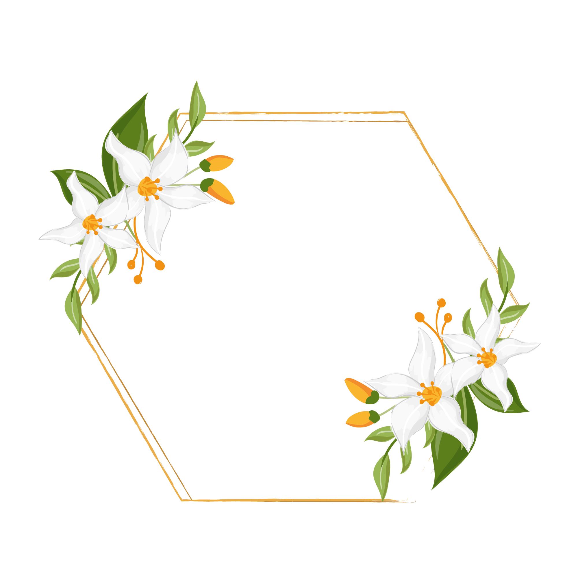 漂亮的彩色边框图片大全,好看的绿叶边框