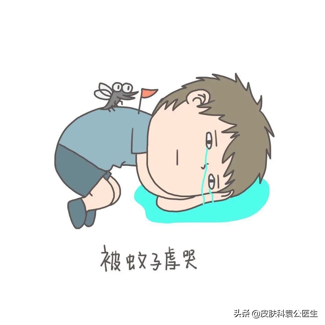 蚊虫叮咬引起的皮炎一年了没好,夏季有哪些虫叮咬会红肿