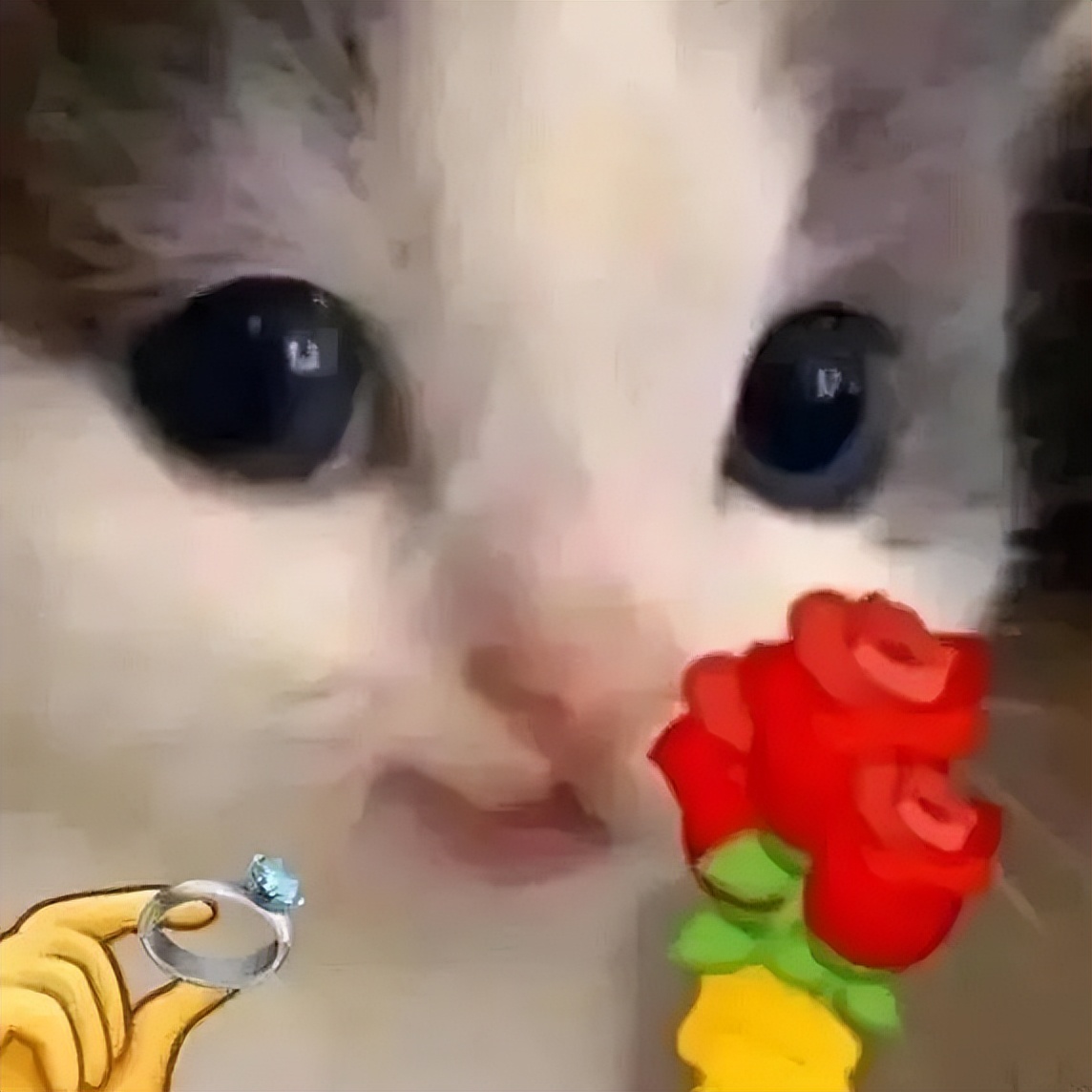 贩剑表情包评论区,贩剑表情包不回消息