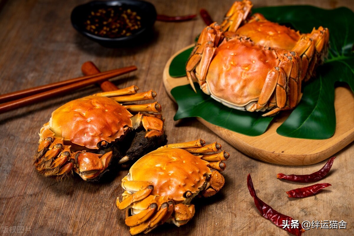 熟大闸蟹保存方法,大闸蟹保存方法泡沫箱