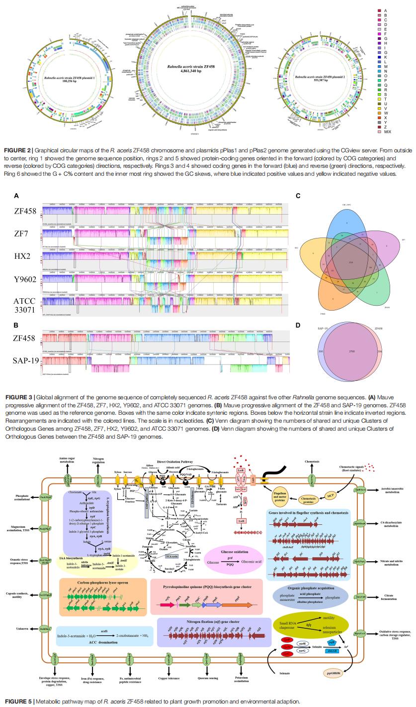 奥维森基因科技有限公司技术团队,奥维森基因测序