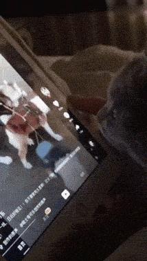 昨晚上喝多了把这个扛回了家，现在酒醒了，我该怎么办？