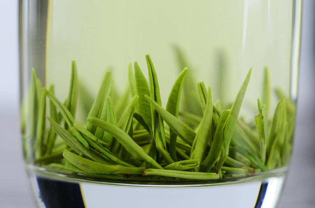 北纬三十度名茶名酒,北纬30度十大名茶