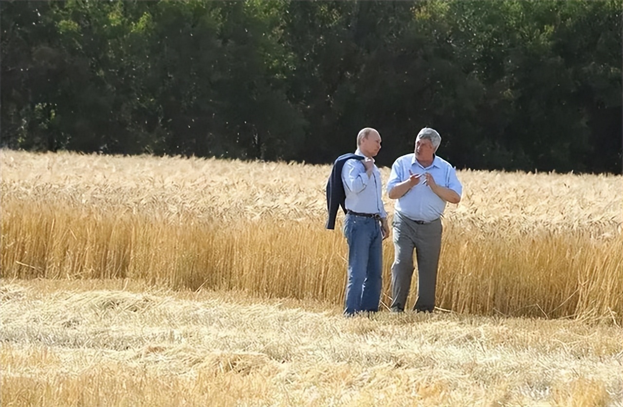 种子战争的危机,种子危机到底多可怕