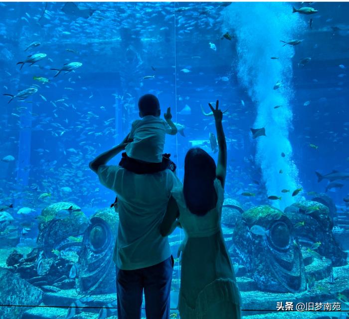 三亚旅游攻略自由行2天一夜价格,海南三亚旅游五日游攻略