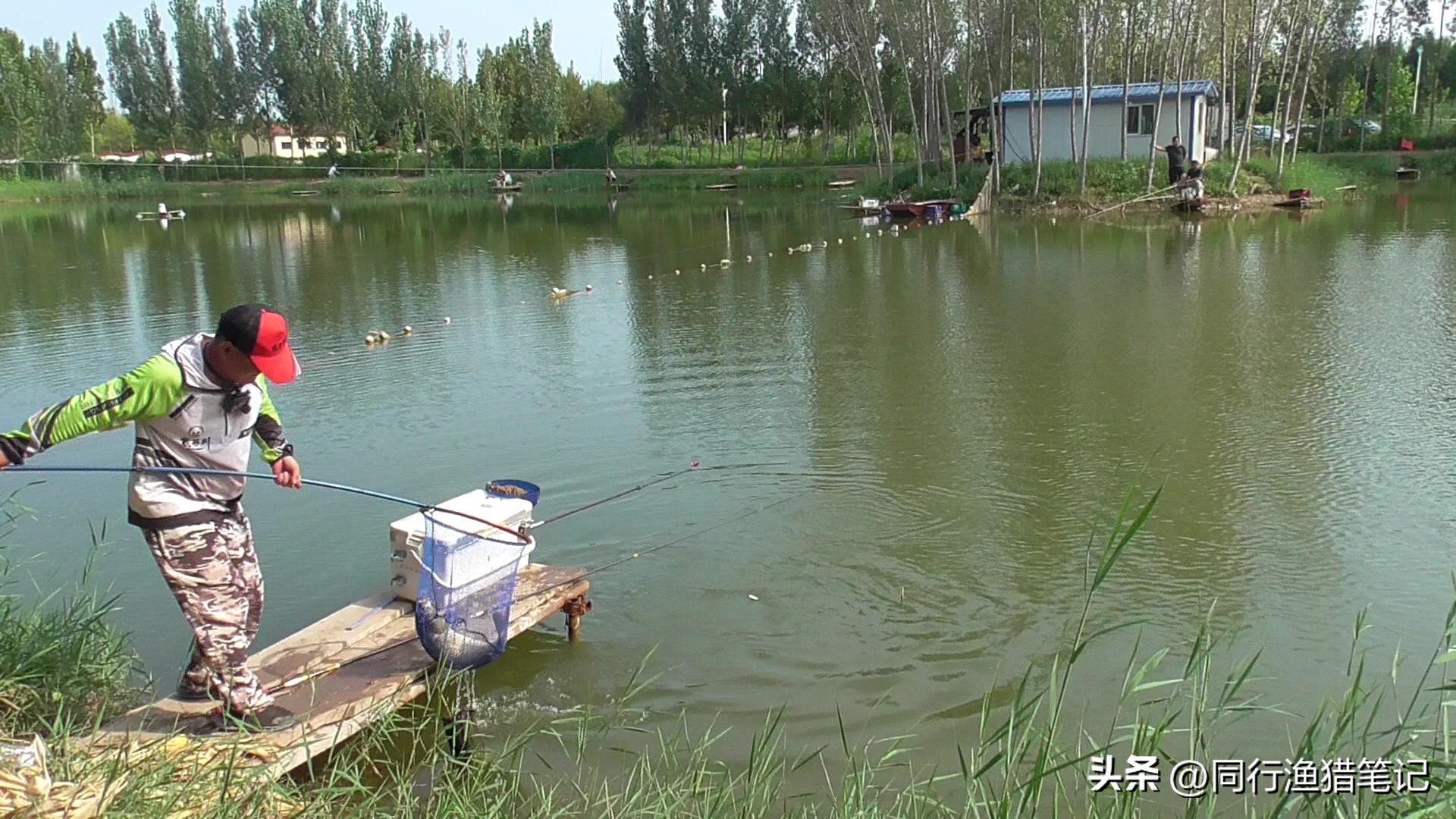 野钓3-5斤鲤鱼用什么竿子,4.5米鱼竿钓黑坑3.4斤鲤鱼推荐