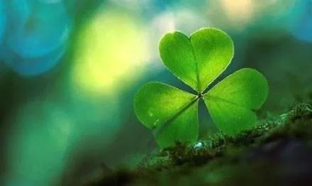 好运来临的十种征兆,好运来临时都有哪些征兆