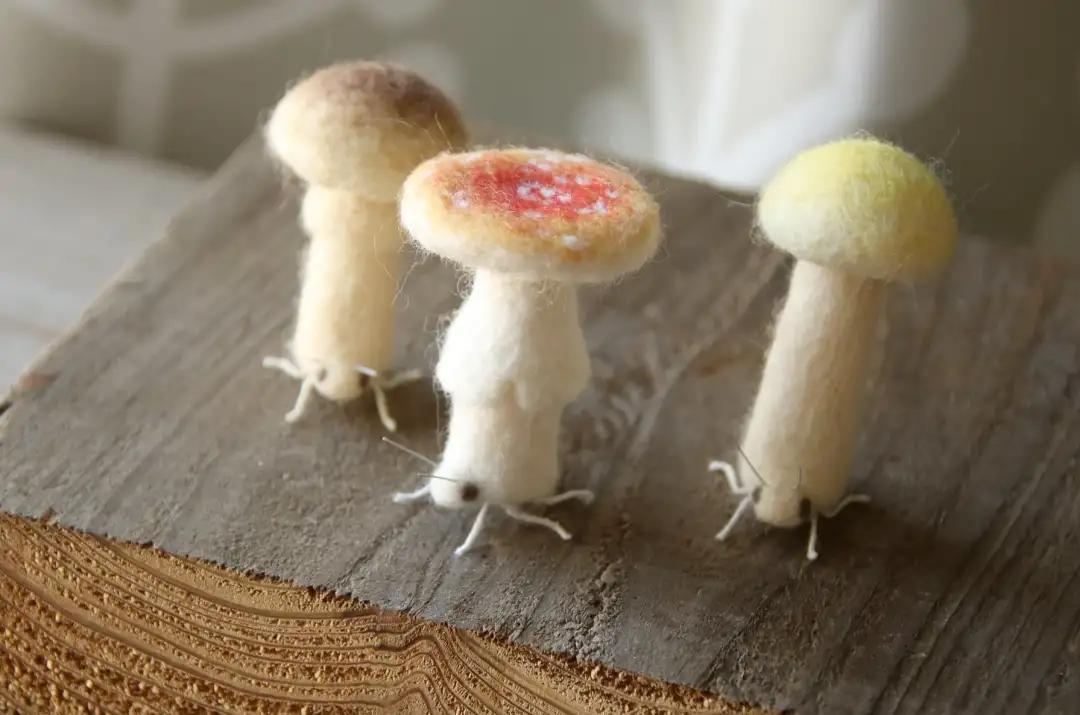 奇形怪状的羊毛毡,奇形怪状羊毛毡