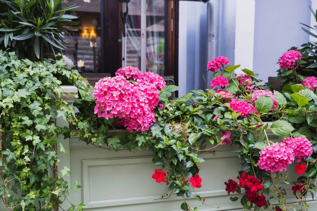 开花店新手怎么入行,新手开花店需要准备多少钱