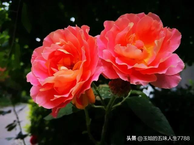 睡觉前躺着玩手机危害有多大,孕妈玩手机对孩子的危害