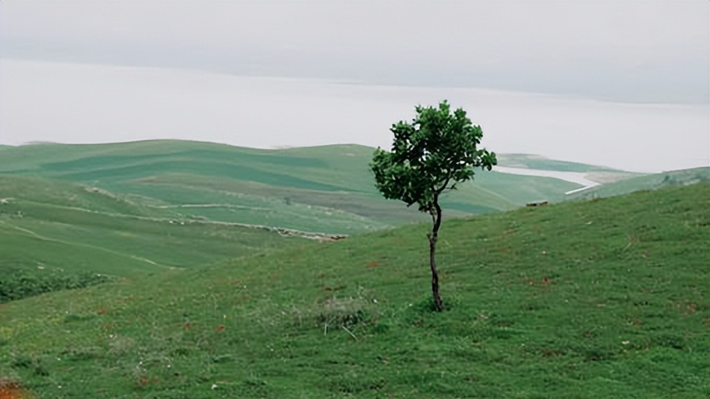 好听的广场舞歌曲精选,好文分享主题