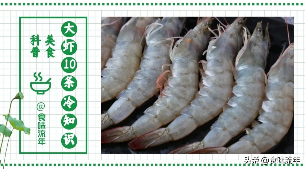 大虾最好吃的5种做法白灼虾,盐水虾正确的做法怎样做才好吃