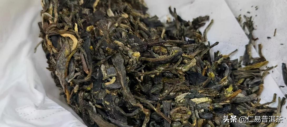 1克熟茶含5亿致癌霉菌？喝茶是自杀还是养生的秘密