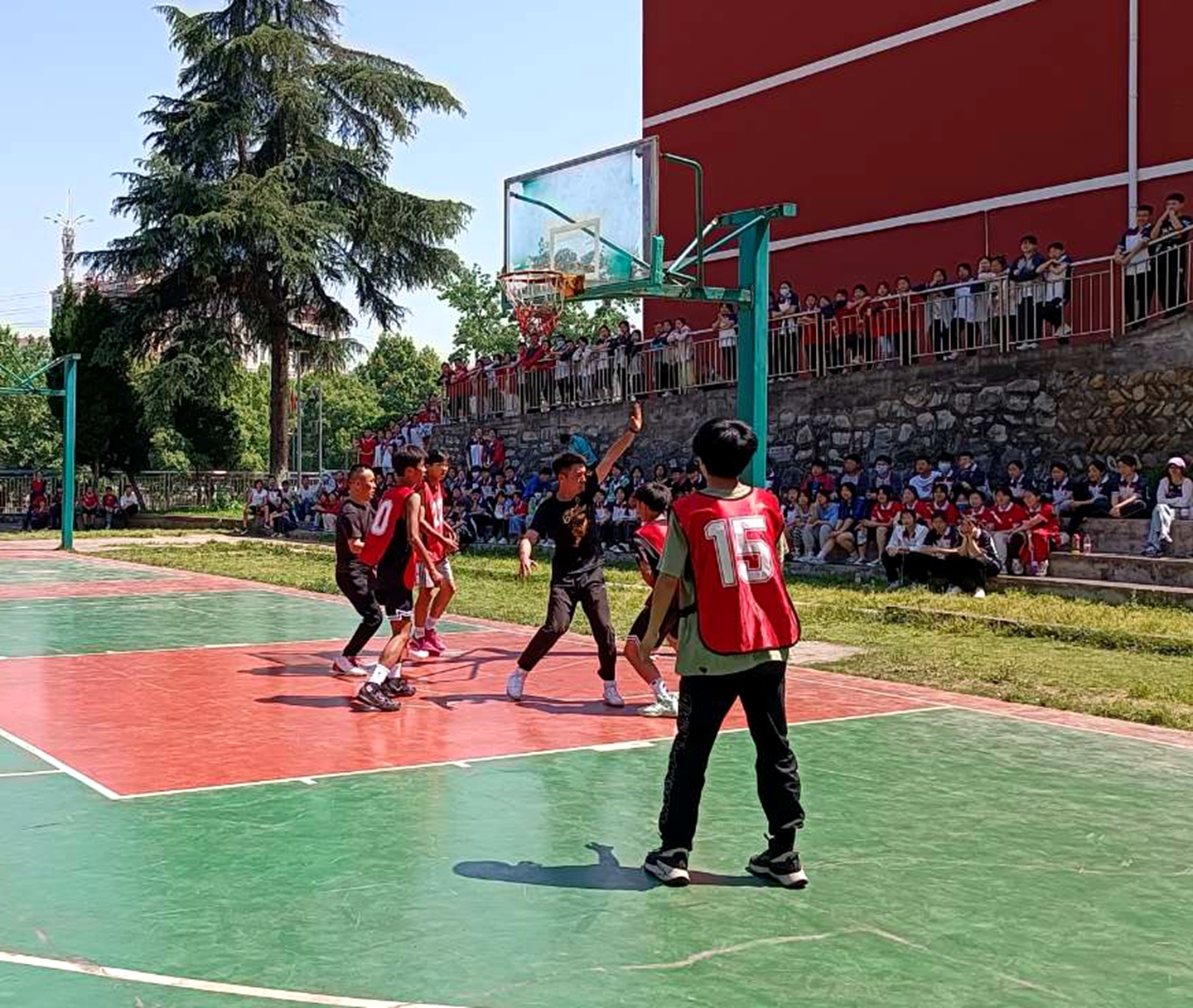 学校春季运动会活动,学校春季运动会活动报道