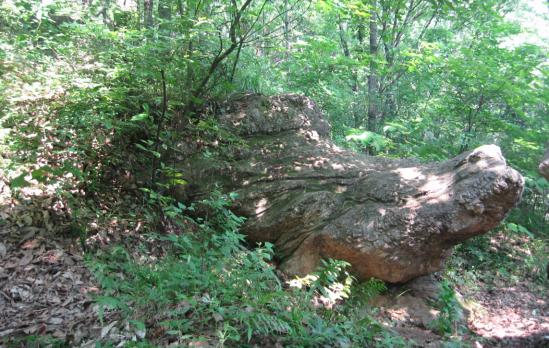 庞德公庞统,庞德公配合卧龙凤雏